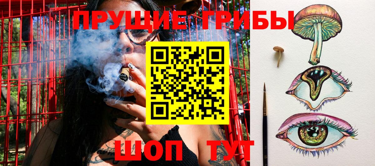 Псилоцибиновые грибы Psilocybine cubensis Узловая