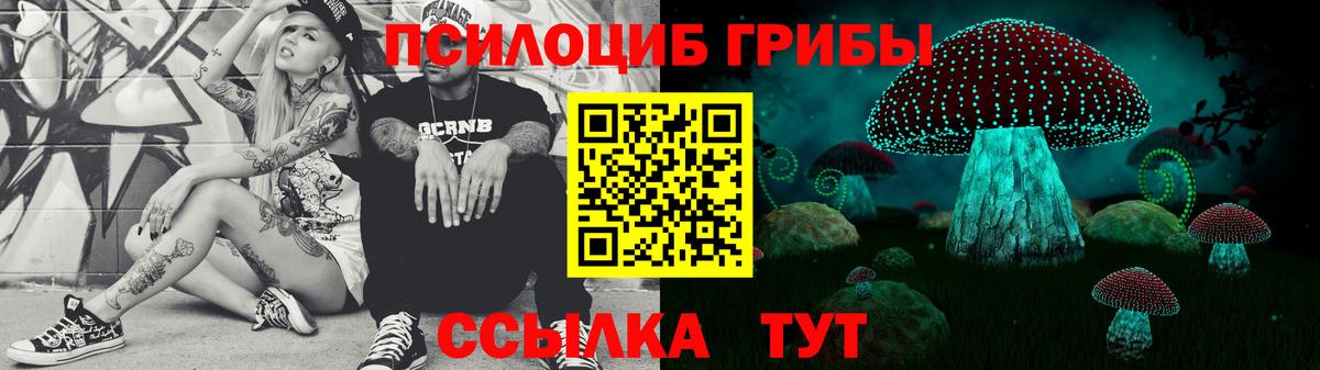 Галлюциногенные грибы прущие грибы  Вход с VPN  Узловая 